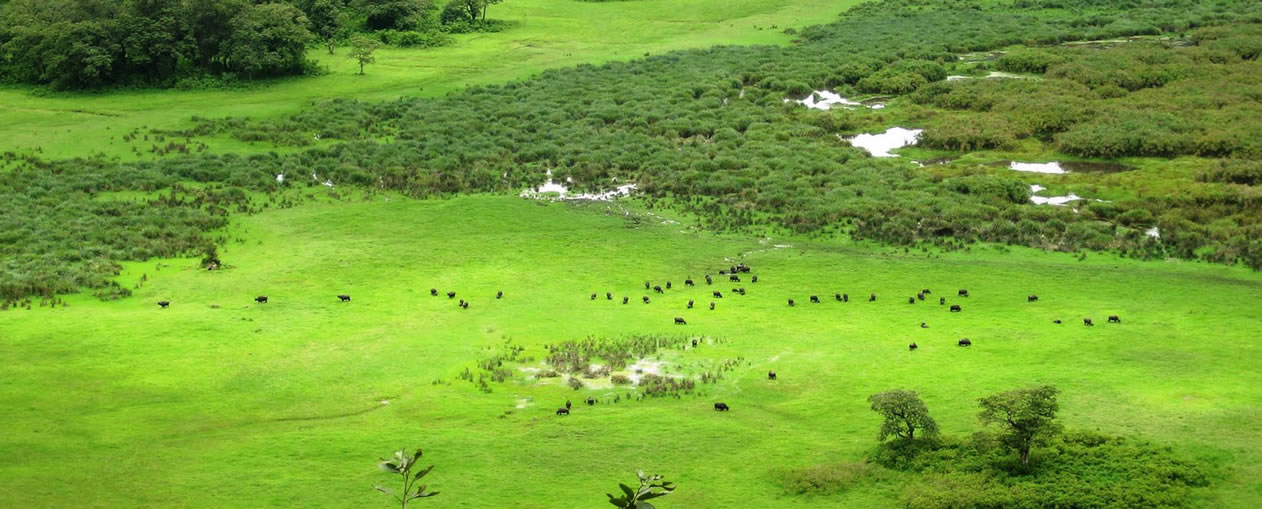 Arusha national park -tanzania - 4X4 Car Rental in Rwanda