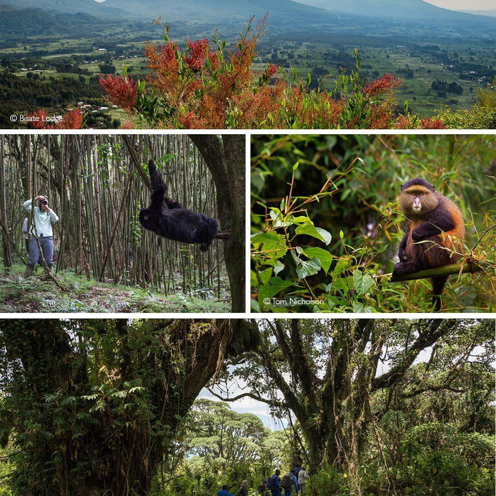 12 4x4 car rental rwanda