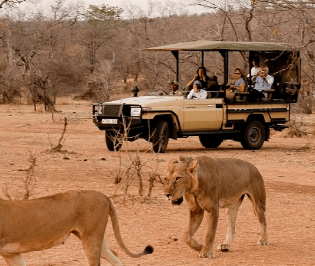 Kigali Airport Car Hire, Rwanda Car rental Powerful 4x4 Car Rental: Tackle Best Kigali Car Rental Rural Self-Drive: Countryside Car Rental in Rwanda