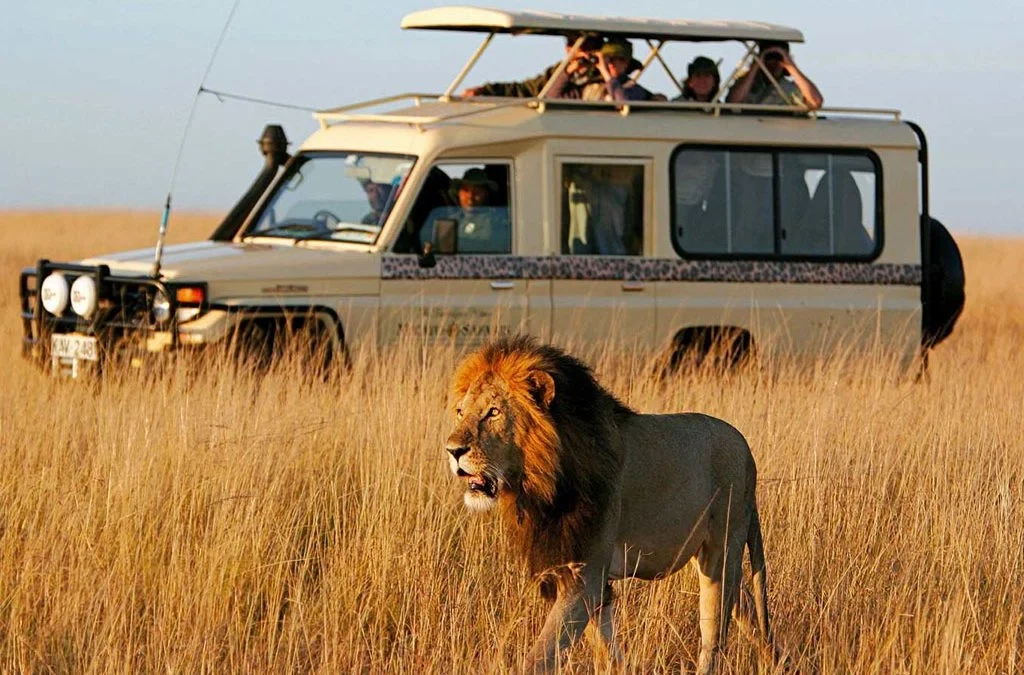 First time on East Africa safari 4x4 car rental rwanda