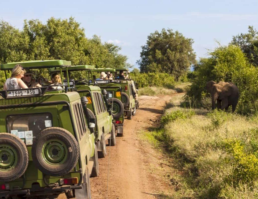 customizable tour packages rent car rwanda 4x4 car rental rwanda