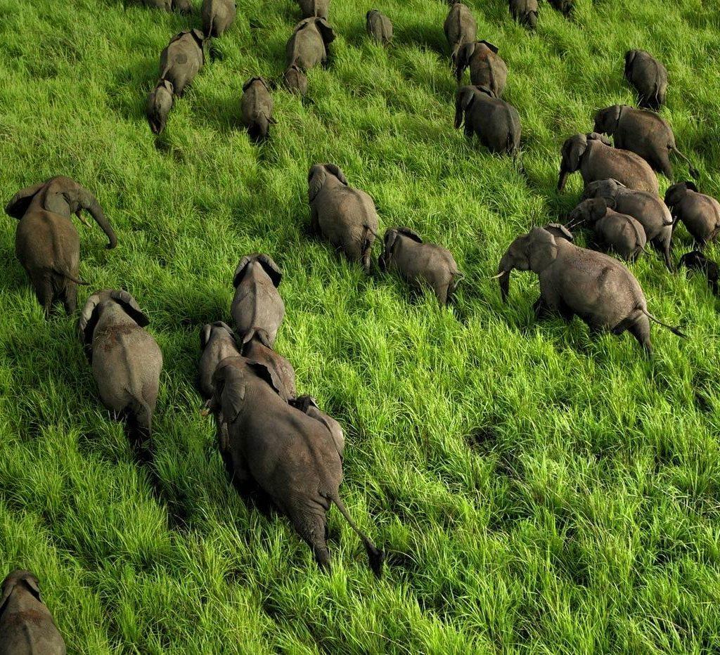 garamba bg 4x4 car rental rwanda