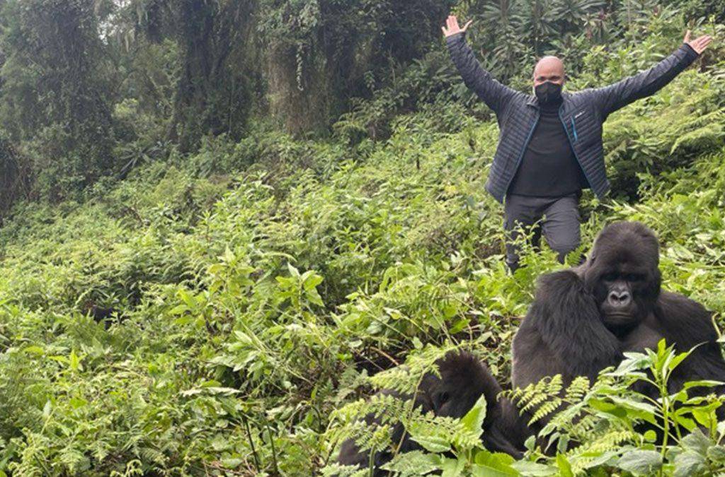 gorilla trekking expectation 4x4 car rental rwanda