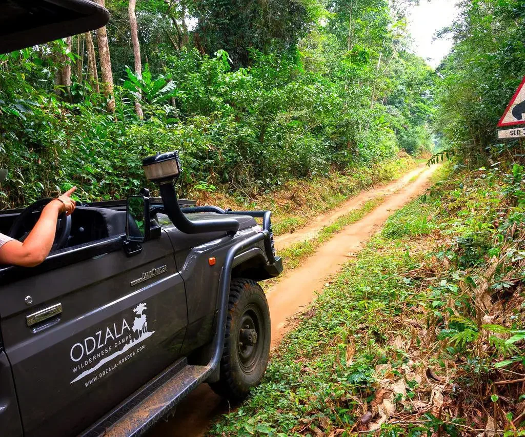 ngagacampgorilla 4x4 car rental rwanda