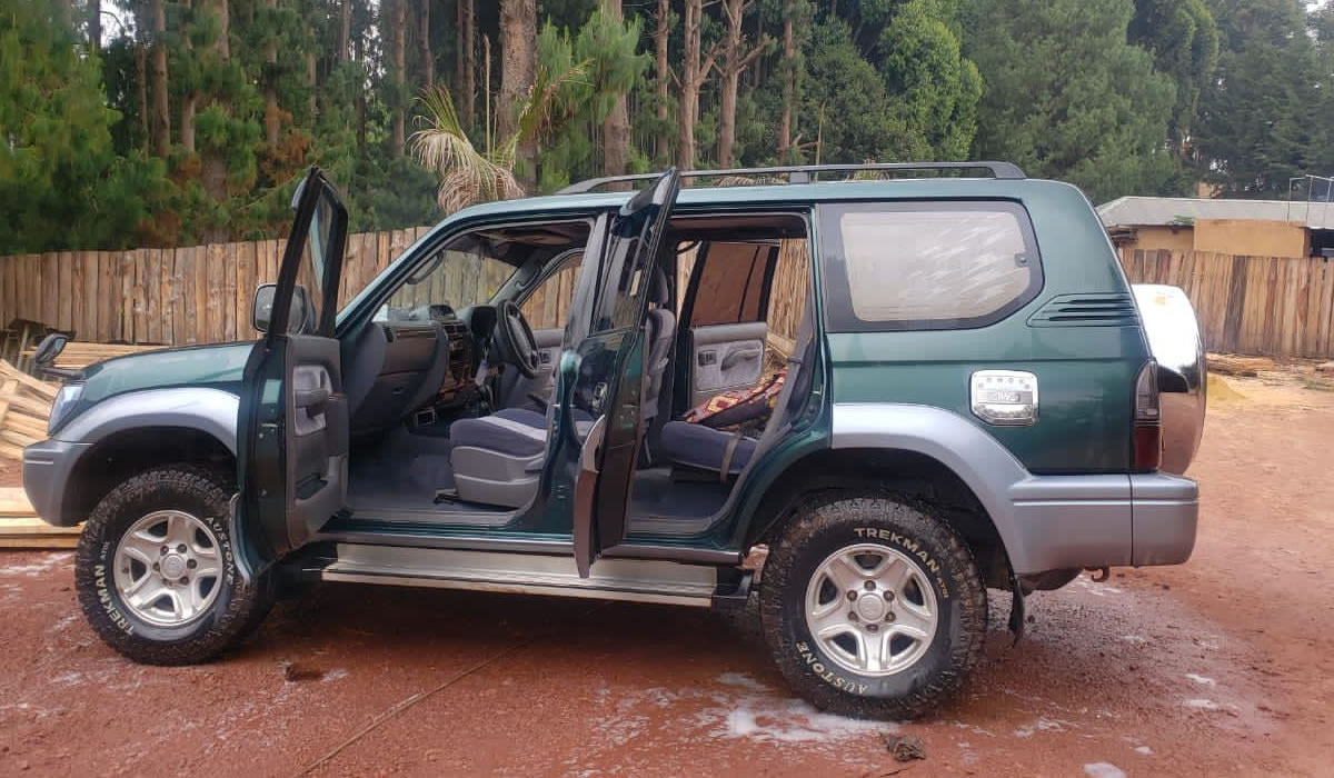 Best 4×4 Cars to Rent for a Safari in Akagera National Park