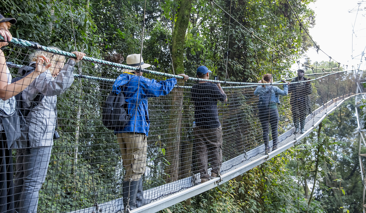 Nyungwe Forest