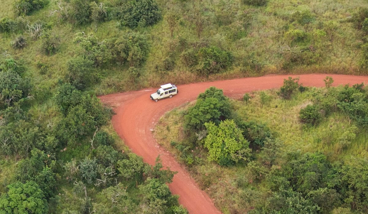 Rwanda Wildlife Safari on a Budget