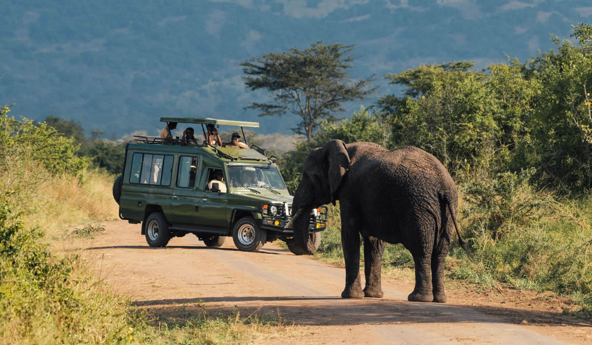 How to Self-Drive to Rwanda's National Parks