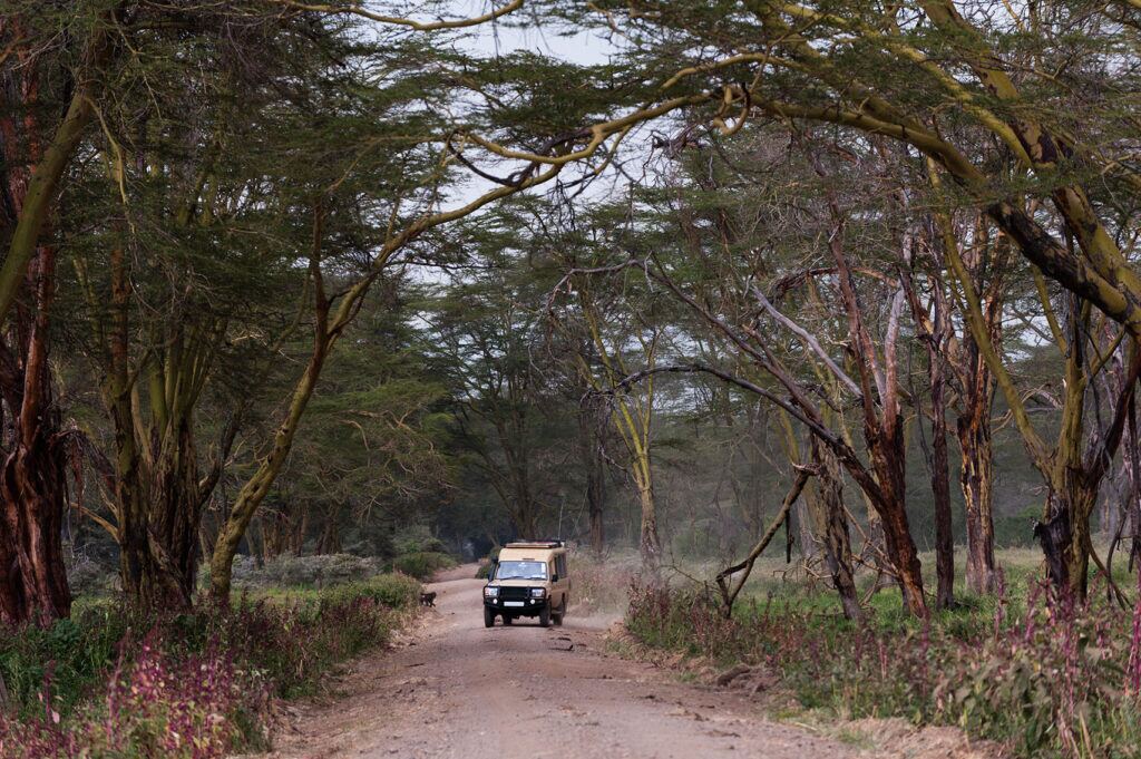 Rental car on a scenic road trip through the hills of Rwanda
