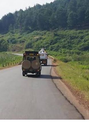 Nyungwe Forest Car Hire:
